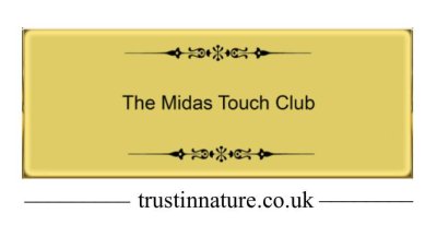 The Midas Touch logo
